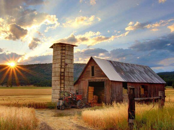 Natural food export can transform economy