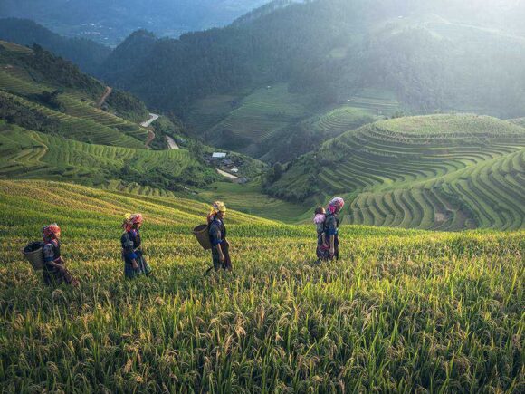 Why fresh food may be good for you