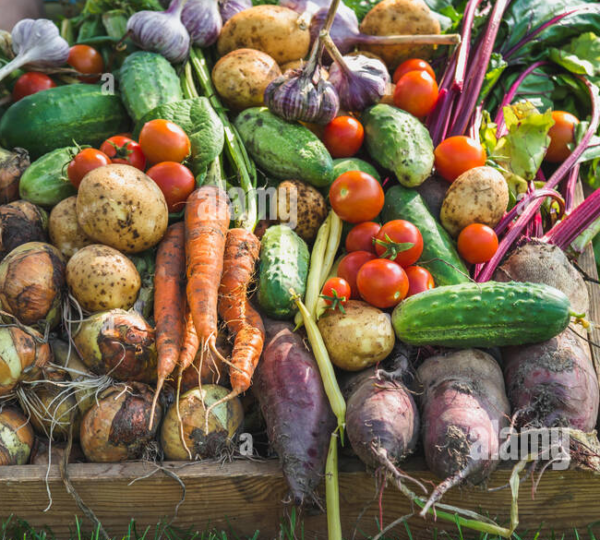Farm-Fresh Vegetables
